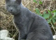 Test Quel personnage de LGDC es-tu ?