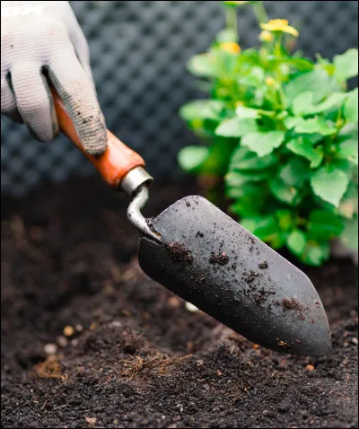 Si je vous dis FIFA, vous pensez au :