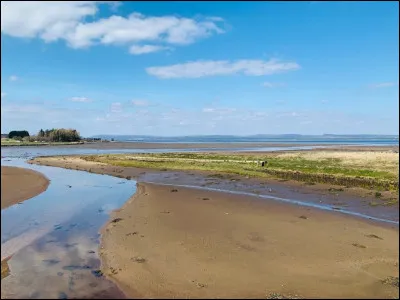 Le numéro atomique de l'étain est :