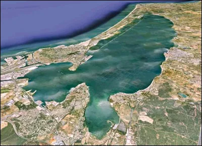 Quel coquillage fait la renommée de l'étang de Thau ?