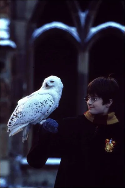 Qui souhaite bonne chance à Harry lors de son passage entre les voies 9 et 10 à King's Cross ?