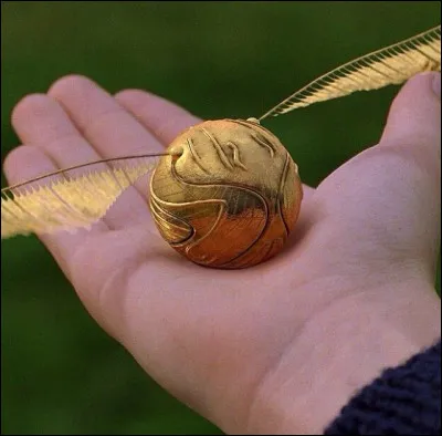 Lors de son premier match de Quidditch, Harry attrape le Vif d'or en :