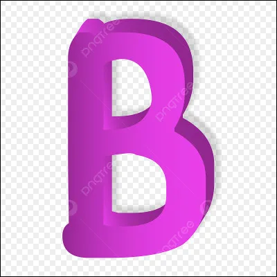 Cette lettre se trouve juste avant le :