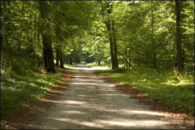 Quelle est cette r&eacute;gion naturelle qui s'&eacute;tend au sud du d&eacute;partement, sur la rive gauche de la Loire ?