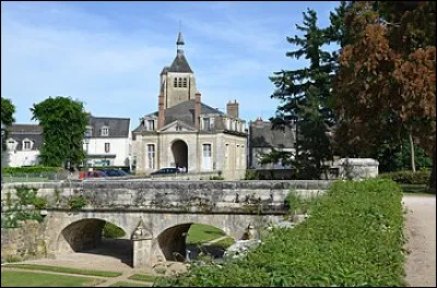 Quelle est cette ville de 8 400 habitants, situ&eacute;e en amont d'Orl&eacute;ans sur les bords de la Loire ?