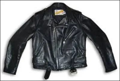 Quel nom donne-ton à ce blouson de cuir de cheval ?