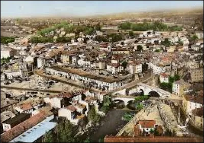 Quelle est cette ville du département du Tarn, reconnue dans le monde entier comme capitale du cuir ?