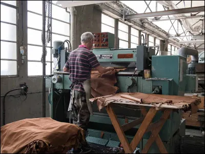 Quel est le nom de lindustrie et du commerce des cuirs utilisés par la ganterie et la pelleterie ?