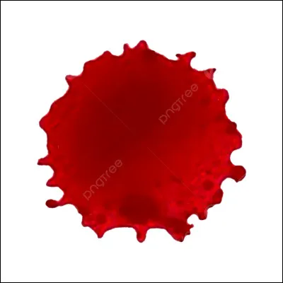 Quelle phrase est bien orthographiée ?