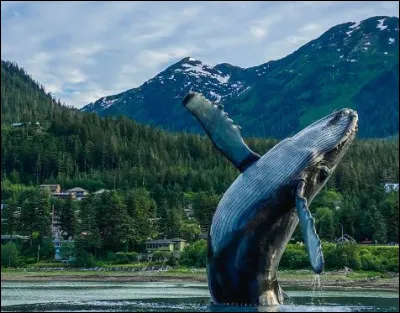 Quelle est la capitale de l'Alaska, située sur une bande de terre au niveau de la mer, et où il est possible d'observer des baleines, des ours... ?
