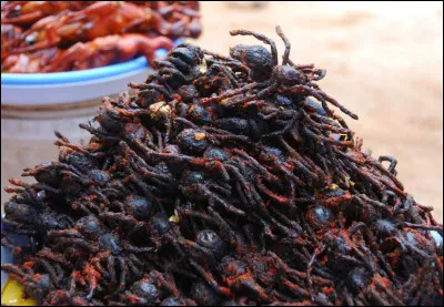 C'est l'horreur pour les arachnophobes ! Dans quel pays fait-on frire des tarentules ?