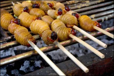 Ces vers d'Amazonie ravagent les palmiers. Les locaux ont trouvé une solution, ils en font des brochettes ! Ce plat est bénéfique pour la santé, même si à première vue il ne donne pas envie. Comment s'apellent ces vers ?