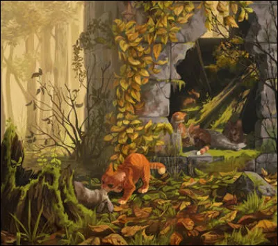 Quelle est ta saison préférée ?