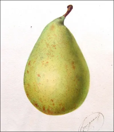 Pour quelle ville est le train de nuit de Bille August, en 2013 ?