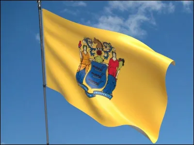 Quel État est représenté par ce drapeau ?