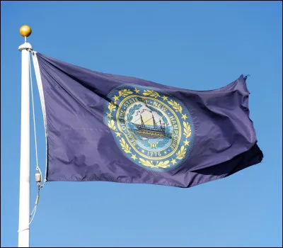 Pouvez-vous dire le nom du drapeau d'État de cette photo ?