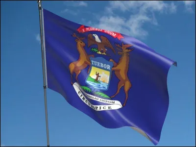 À quel État américain appartient ce drapeau ?