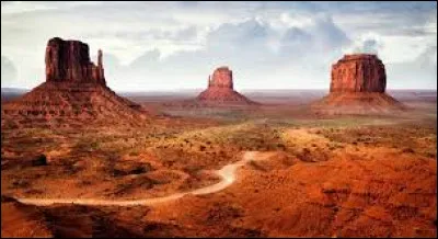 Qui a remplacé Biden au poste de candidat présidentiel pour les élections américaines de 2024 ?