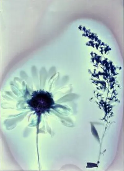 Quel objet est le plus important pour toi ?