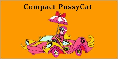 Quel est le nom de cette concurrente ?