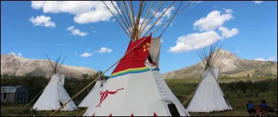 Où eut lieu le dernier conflit entre Indiens et blancs en 1890 ?