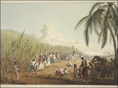 En quelle année arrivent les premiers esclaves africains dans les plantations du sud ?