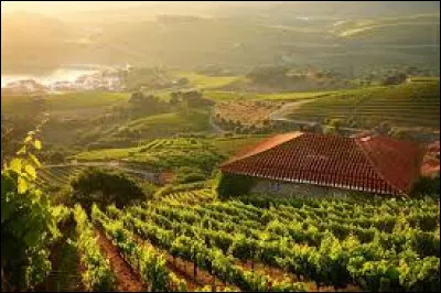 En quelle année le Portugal a-t-il participé pour la première fois aux Jeux olympiques d'été ?