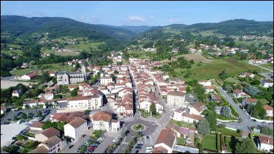 Quelle est cette petite ville de 3 200 habitants, située près de Roanne, sur les pentes de la Madeleine, important centre viticole avant que le phylloxéra ne détruise la plus grande partie de la vigne ?