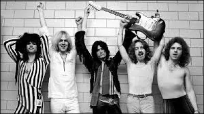 Aerosmith est un célèbre groupe de rock originaire d'Australie.