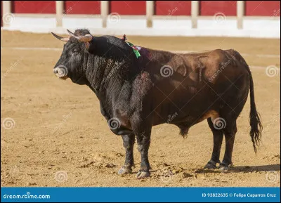 Quel est cet animal ?