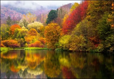 Quel jour sera le dernier de l'automne cette année ?