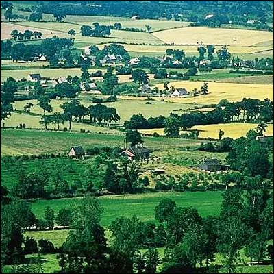 Quel terme désigne une région rurale où les champs sont délimités par des haies ou des taillis ?