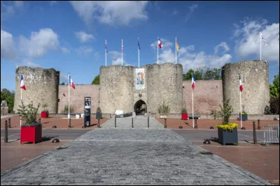 Quelle est cette ville, sous-préfecture de 7 300 habitants, située dans l'est du département, détruite par les combats en 1917 et dont le château abrite "l'Historial de la Grande Guerre" ?