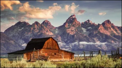 Si je vous montre cette photo, vous me direz...