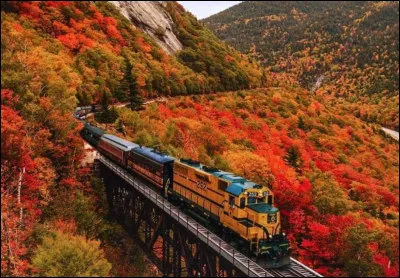 Cette photo vous dit-elle quelque chose ?