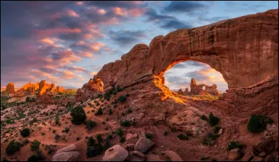 En regardant cette photo, vous pensez...