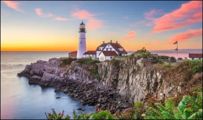 En regardant cette photo, vous pensez...