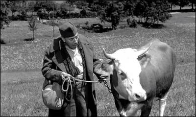 Comment se nomme la vache qui accompagne Fernandel pour fuir l'Allemagne pendant la guerre ?