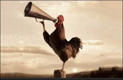 Dans cette infection bactérienne respiratoire, toute la maisonnée s'éveillait au chant du coq. Retrouvez le mot qui va bien.