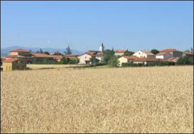 Ancienne commune de l'arrondissement de Lyon, Saint-Jean-de-Touslas se situe dans le département ...
