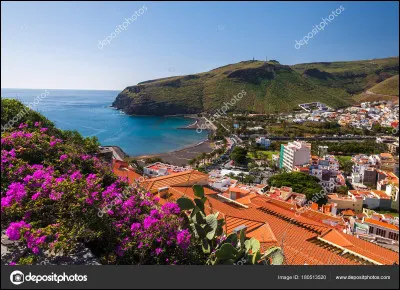 "Canary Bay" est une chanson du groupe ...