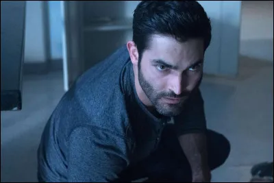 Dans quelle série peut-on trouver Derek Hale ?
