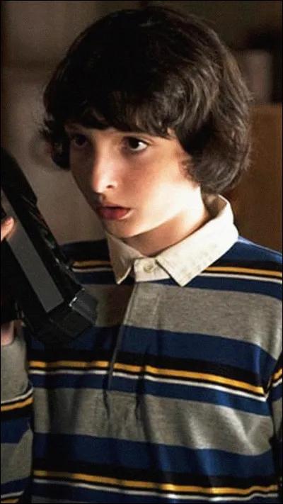 Dans quelle série peut-on trouver Mike Wheeler ?