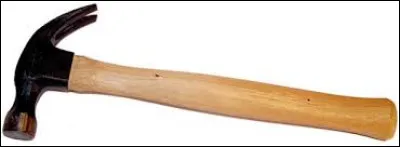 Un peu d'anatomie maintenant ! Trouvez le membre à l'aide de la photo !