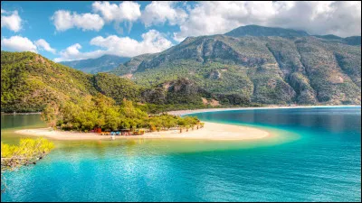 "De ta bouche coco na&iuml;ve / l'oc&eacute;an me parle / lagon bleu &agrave; l'eau saline / sur tes l&egrave;vres parme". Qui chante "Coco C&acirc;line" en 2016 ?