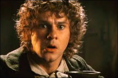 Qui est le cousin de Merry ?