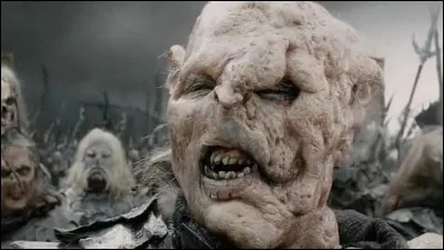 Qui a convaincu l'armée en question de se battre avec eux ?