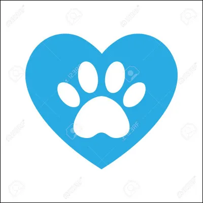 Cette race est la préférée des Français en 2023.