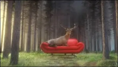 Quel duo a chanté "Un peu de rêve" en 2018 ?