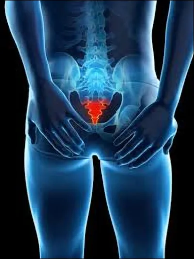 Trouvez la bonne orthographe de cette partie du corps humain :